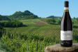 Selezione Regionale - Vinho OCCHIO NERO� Pinot Nero D.O.C.
