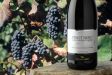 Selezione Regionale - Vinho OCCHIO NERO� Pinot Nero D.O.C.
